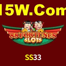 Premium Interface SS33